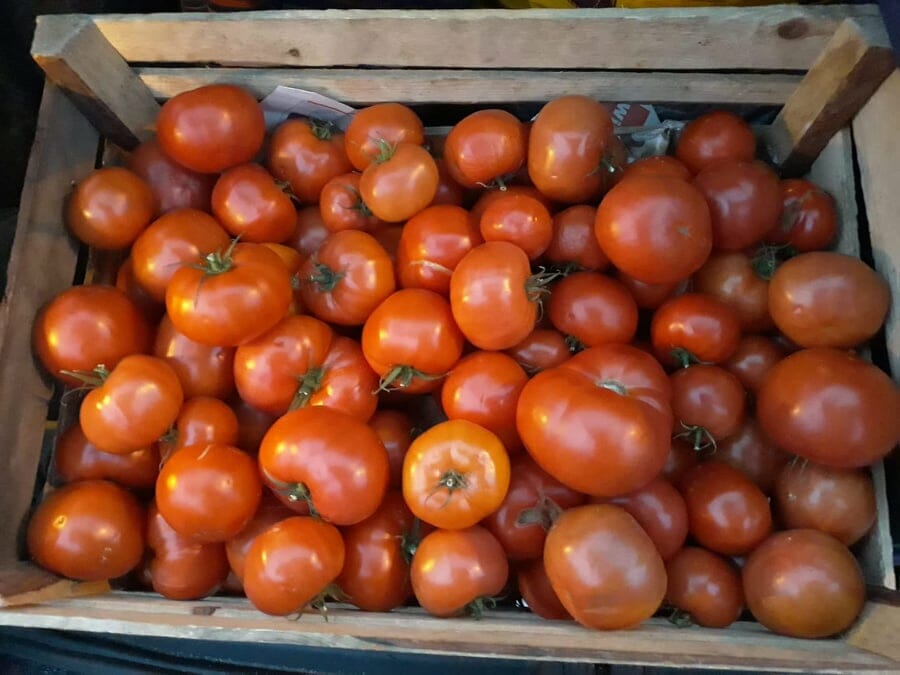 pomidory czerwony, pomidory malinowe, soki pomidorowe